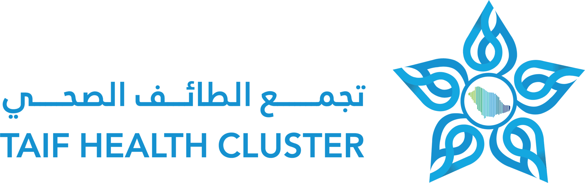 Health Cluster Saudi